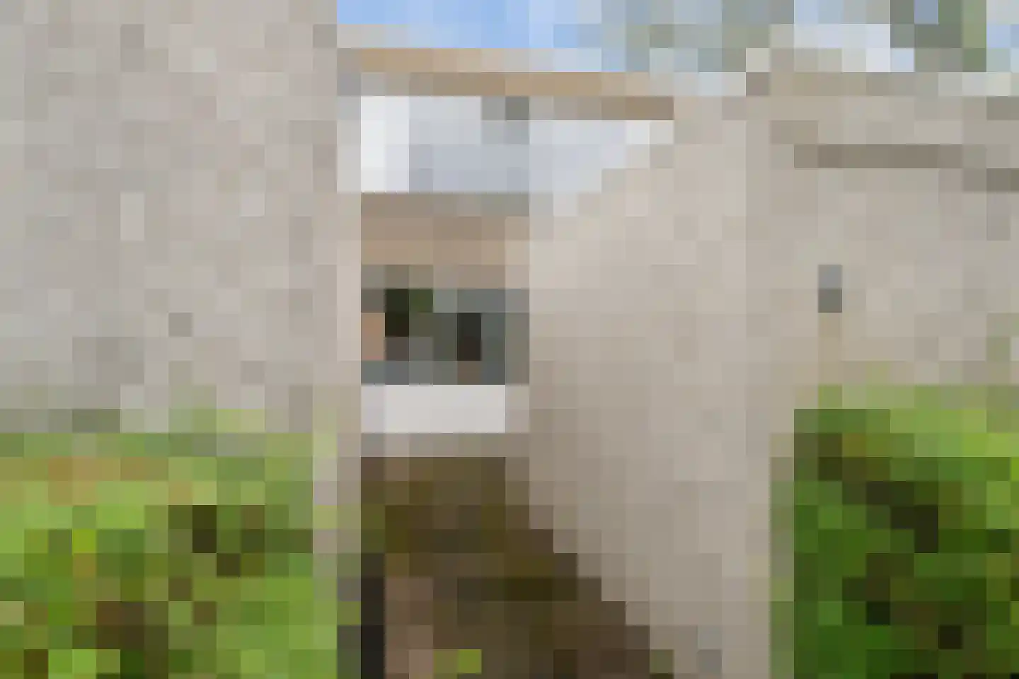 Bizet 4 Naaldwijk thumbnail 7
