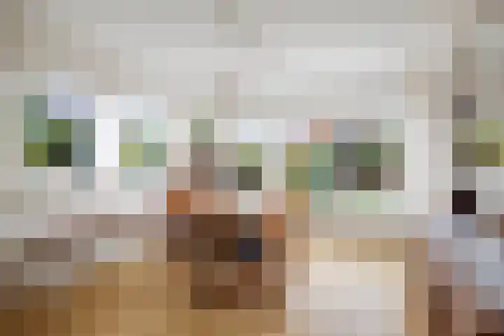 Bizethof 1 Twello thumbnail 10