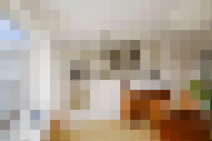 Bizethof 1 Twello thumbnail 11