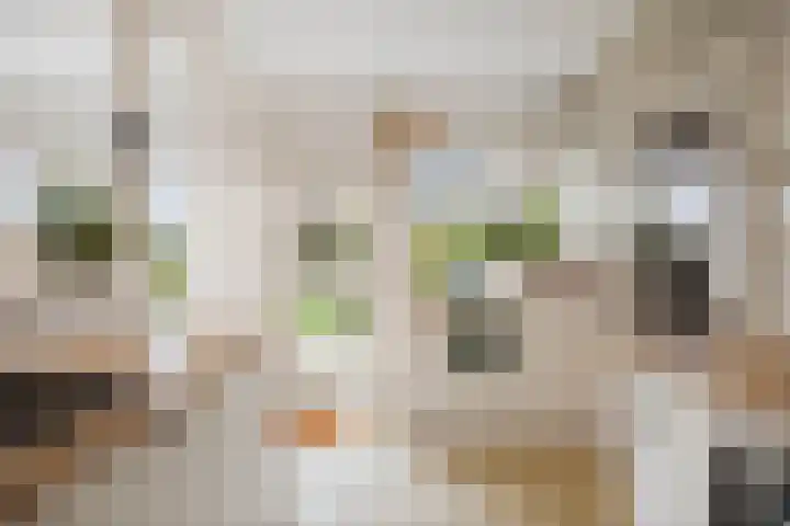 Bizethof 1 Twello thumbnail 13