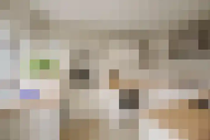 Bizethof 1 Twello thumbnail 14