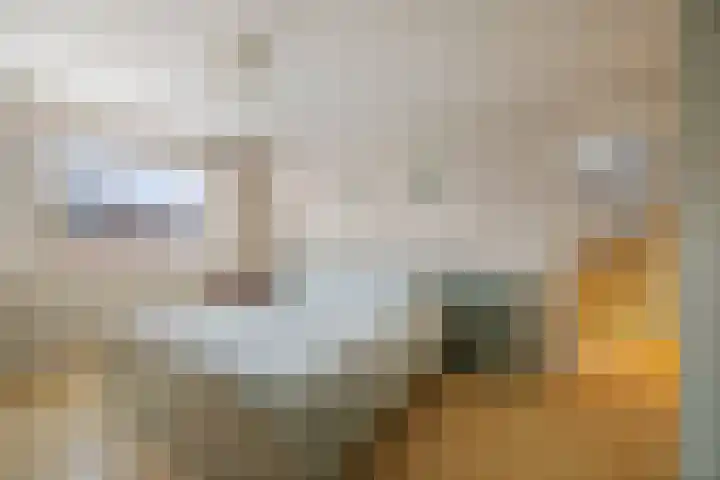 Bizethof 1 Twello thumbnail 17