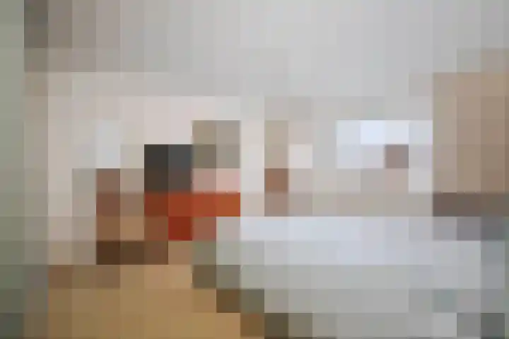 Bizethof 1 Twello thumbnail 18