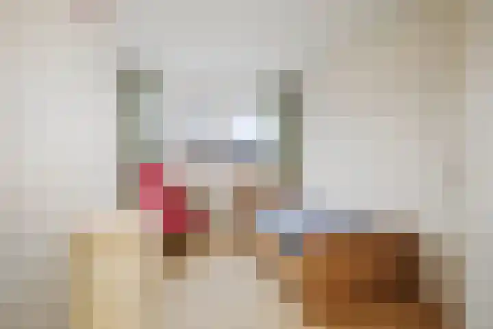 Bizethof 1 Twello thumbnail 22