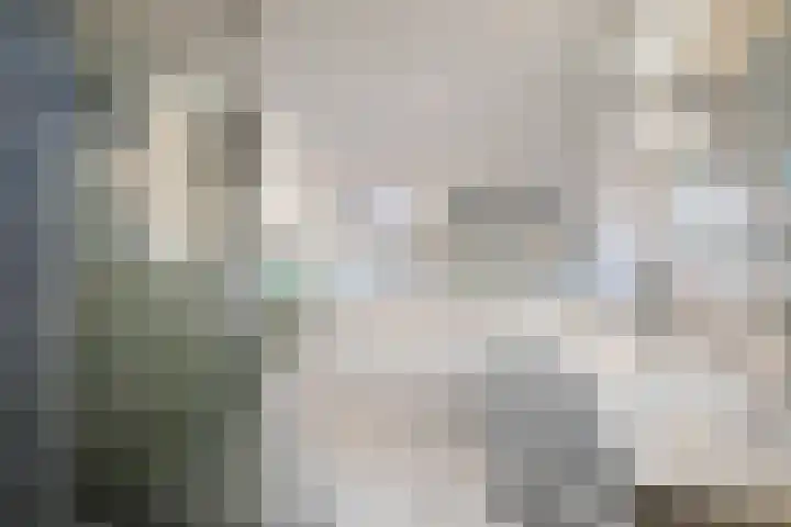 Bizethof 1 Twello thumbnail 23