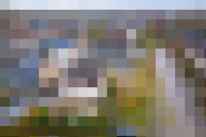 Bizethof 1 Twello thumbnail 28