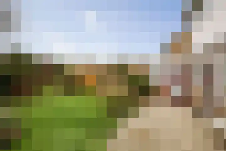 Bizethof 1 Twello thumbnail 29