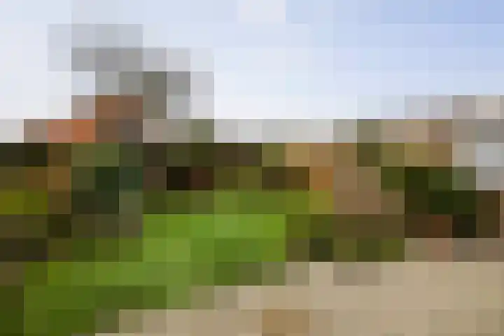 Bizethof 1 Twello thumbnail 30