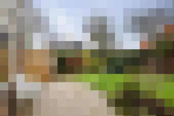 Bizethof 1 Twello thumbnail 31