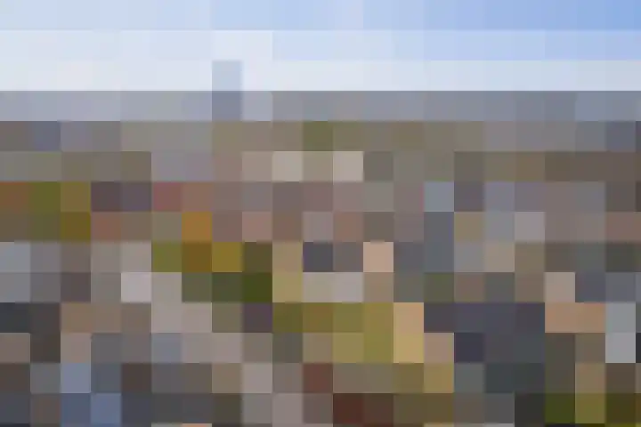 Bizethof 1 Twello thumbnail 32