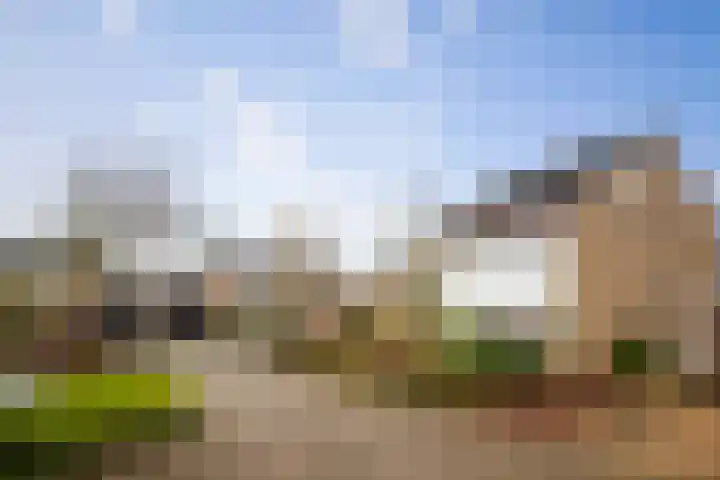 Bizethof 1 Twello thumbnail 33