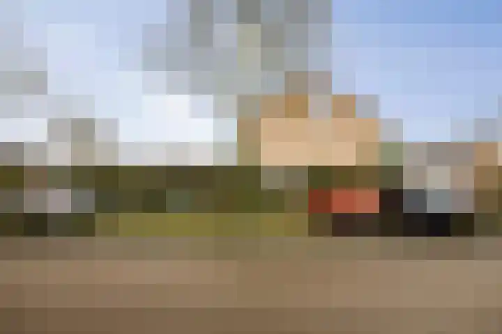 Bizethof 1 Twello thumbnail 34