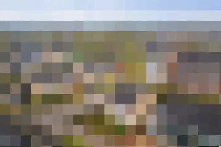 Bizethof 1 Twello thumbnail 35