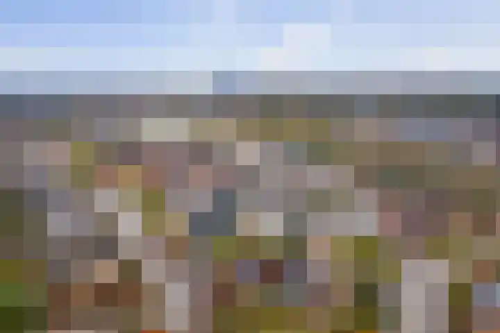 Bizethof 1 Twello thumbnail 36