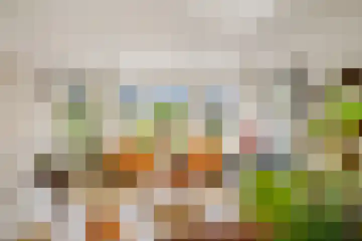 Bizethof 1 Twello thumbnail 8