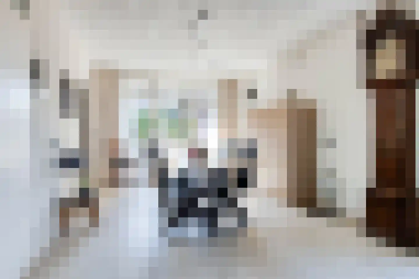 Bizethof 6 Raamsdonksveer thumbnail 10