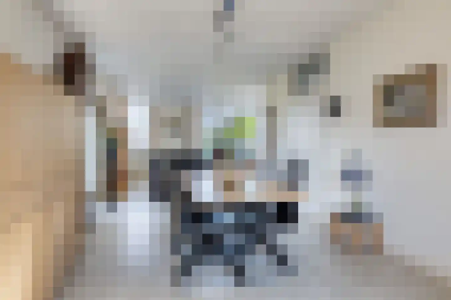 Bizethof 6 Raamsdonksveer thumbnail 12
