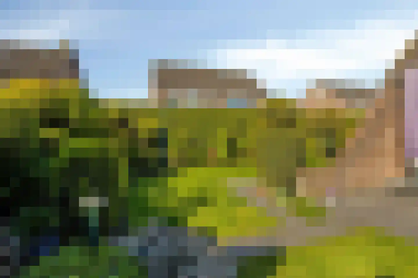 Bizethof 6 Raamsdonksveer thumbnail 16