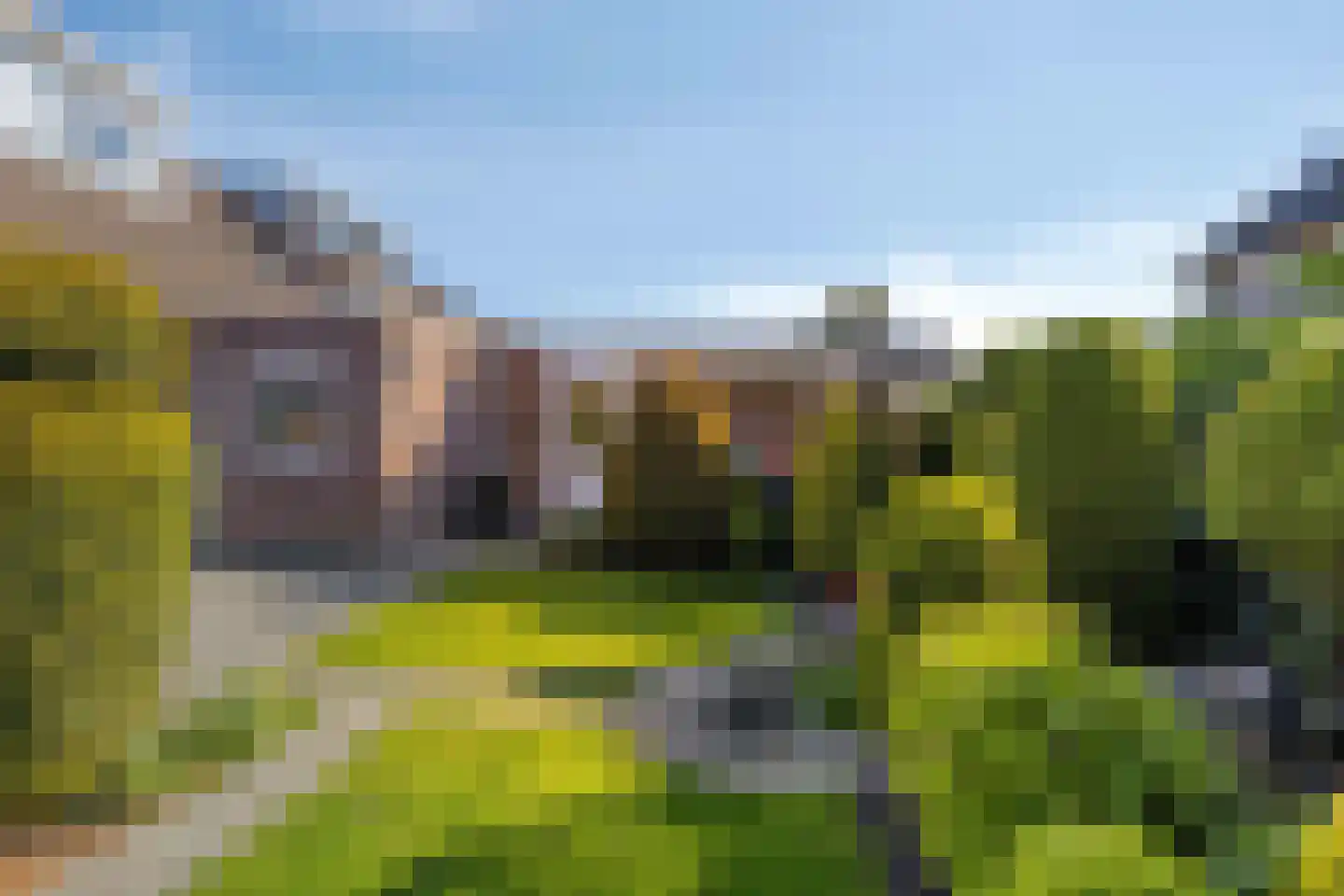 Bizethof 6 Raamsdonksveer thumbnail 18
