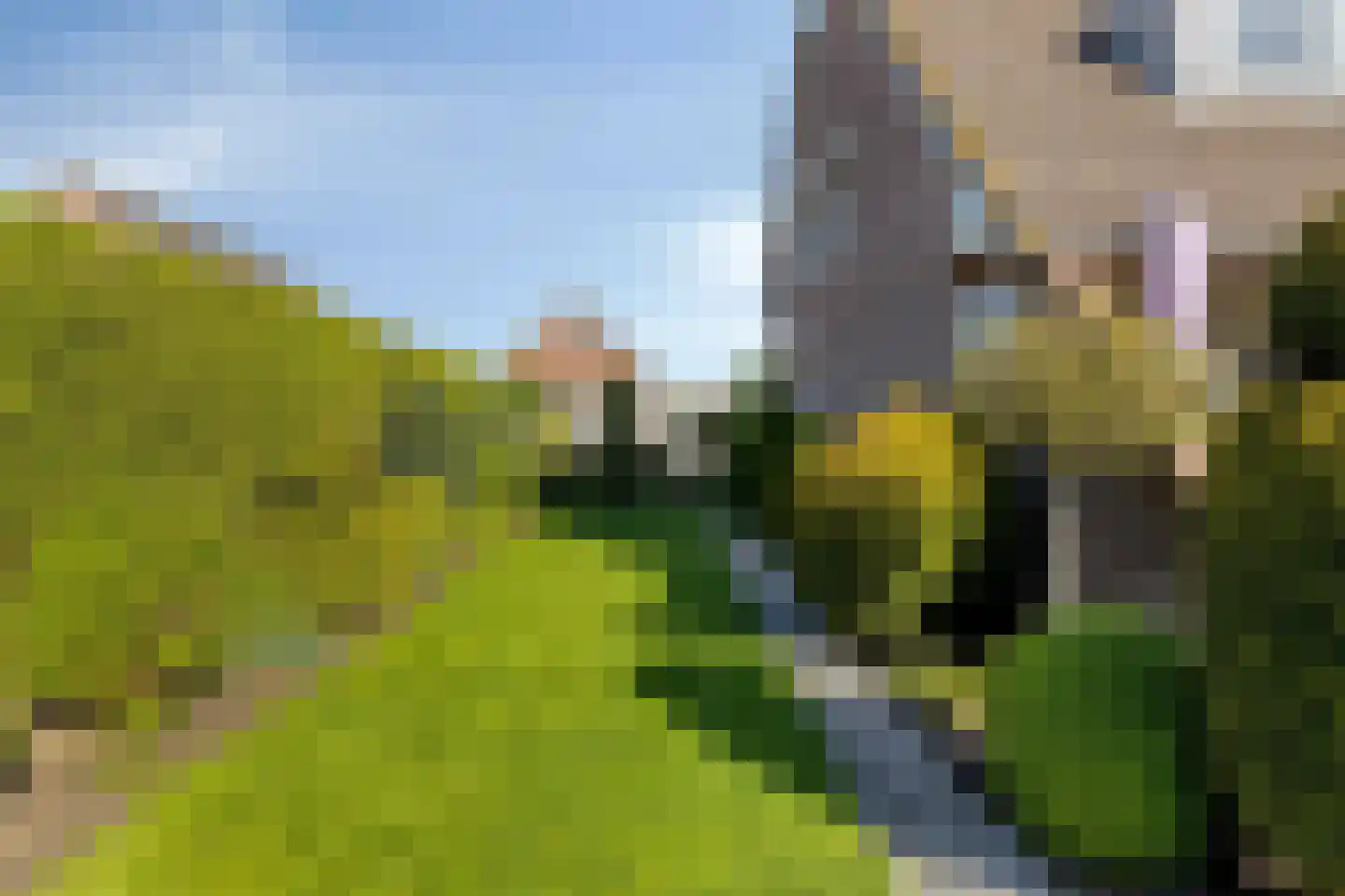 Bizethof 6 Raamsdonksveer thumbnail 19