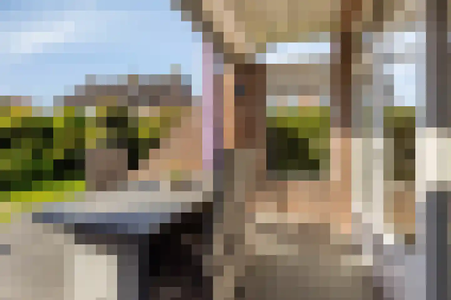 Bizethof 6 Raamsdonksveer thumbnail 21