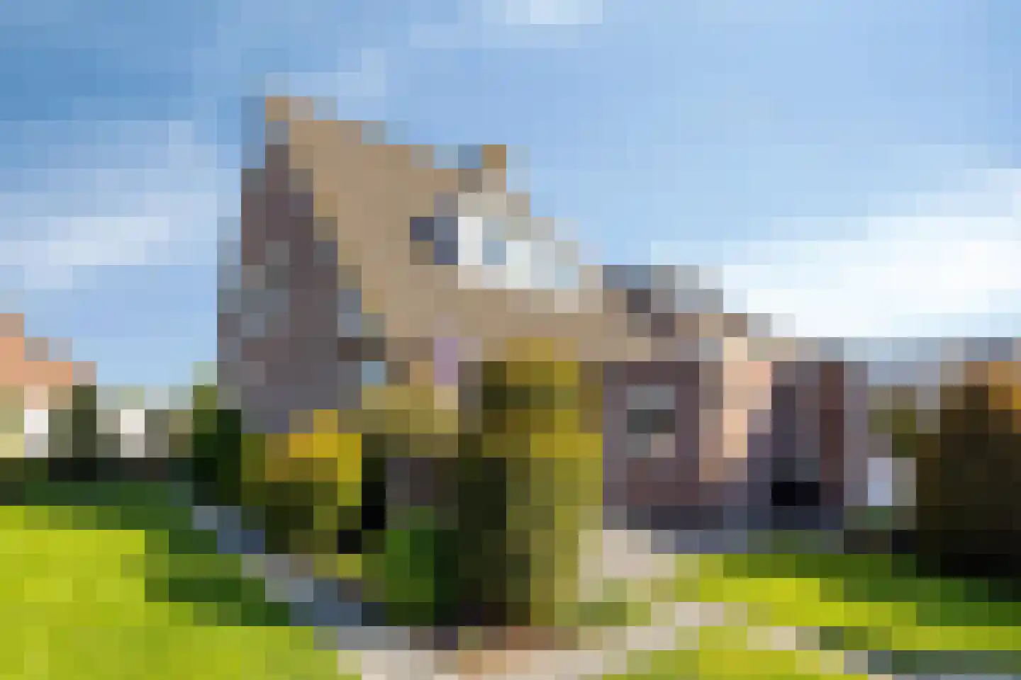 Bizethof 6 Raamsdonksveer thumbnail 22
