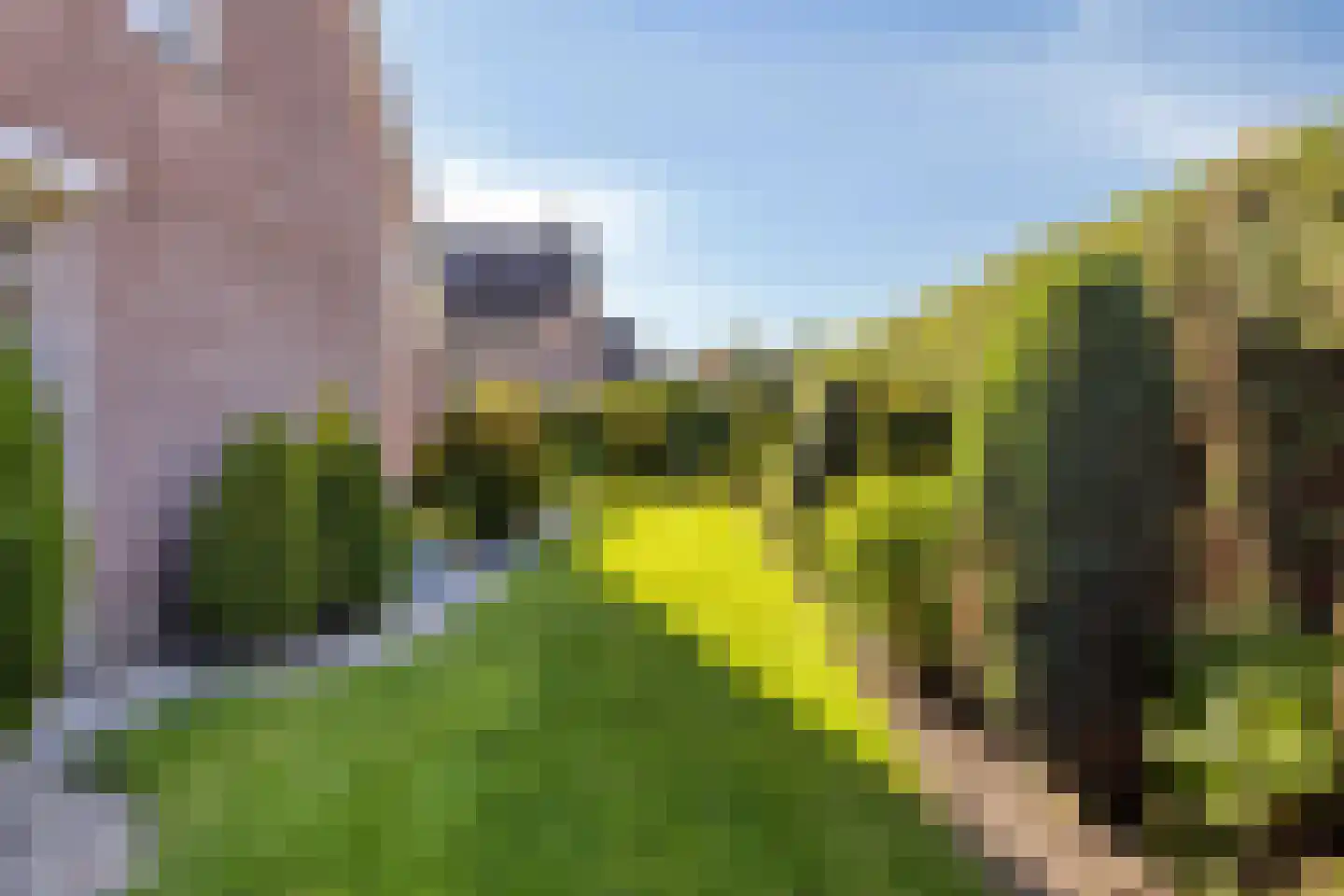 Bizethof 6 Raamsdonksveer thumbnail 23