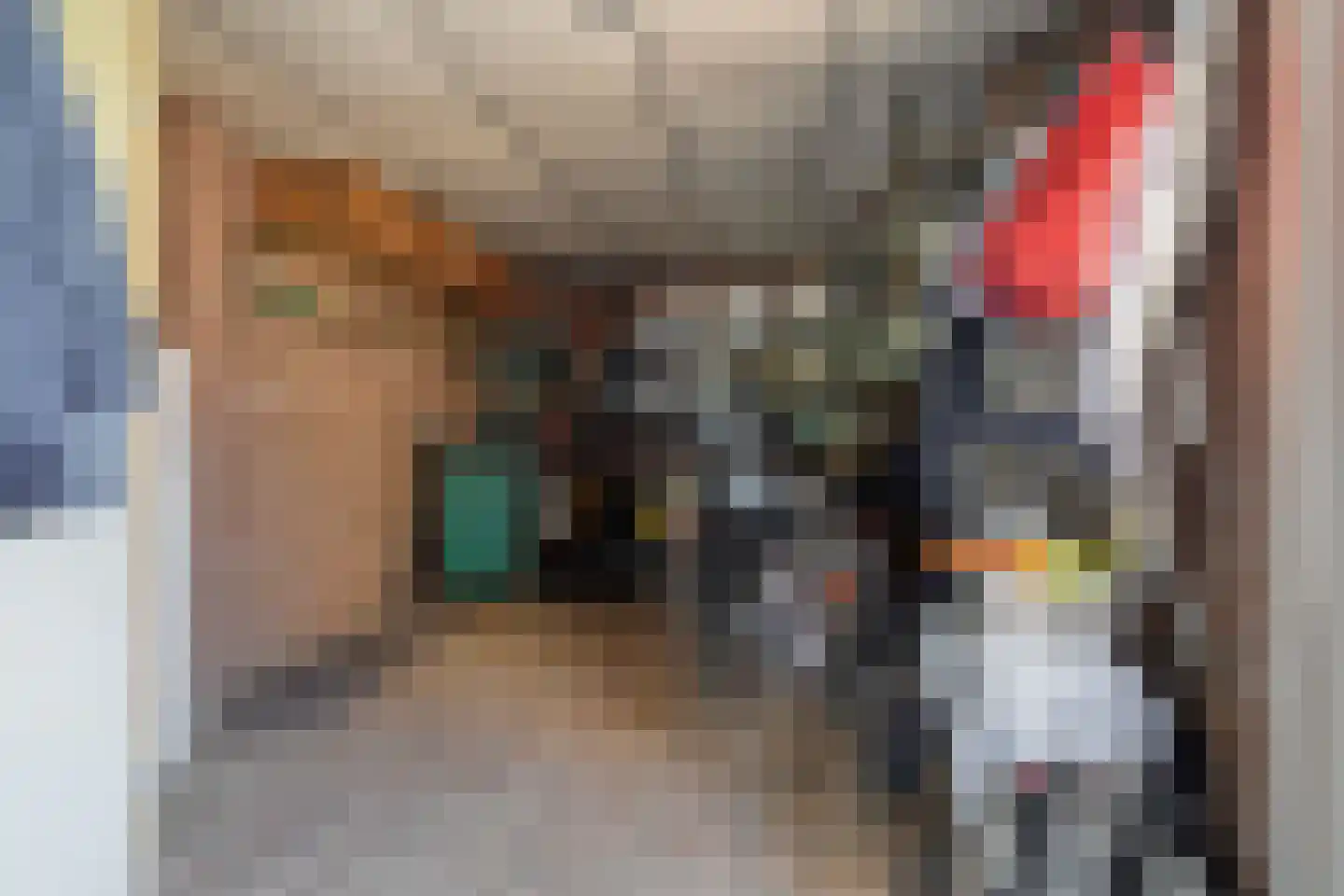 Bizethof 6 Raamsdonksveer thumbnail 26