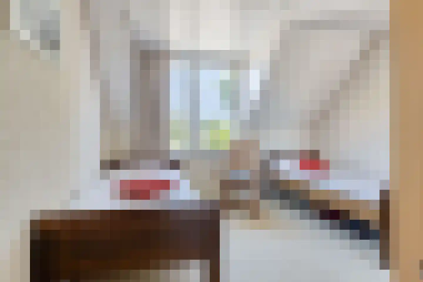 Bizethof 6 Raamsdonksveer thumbnail 34