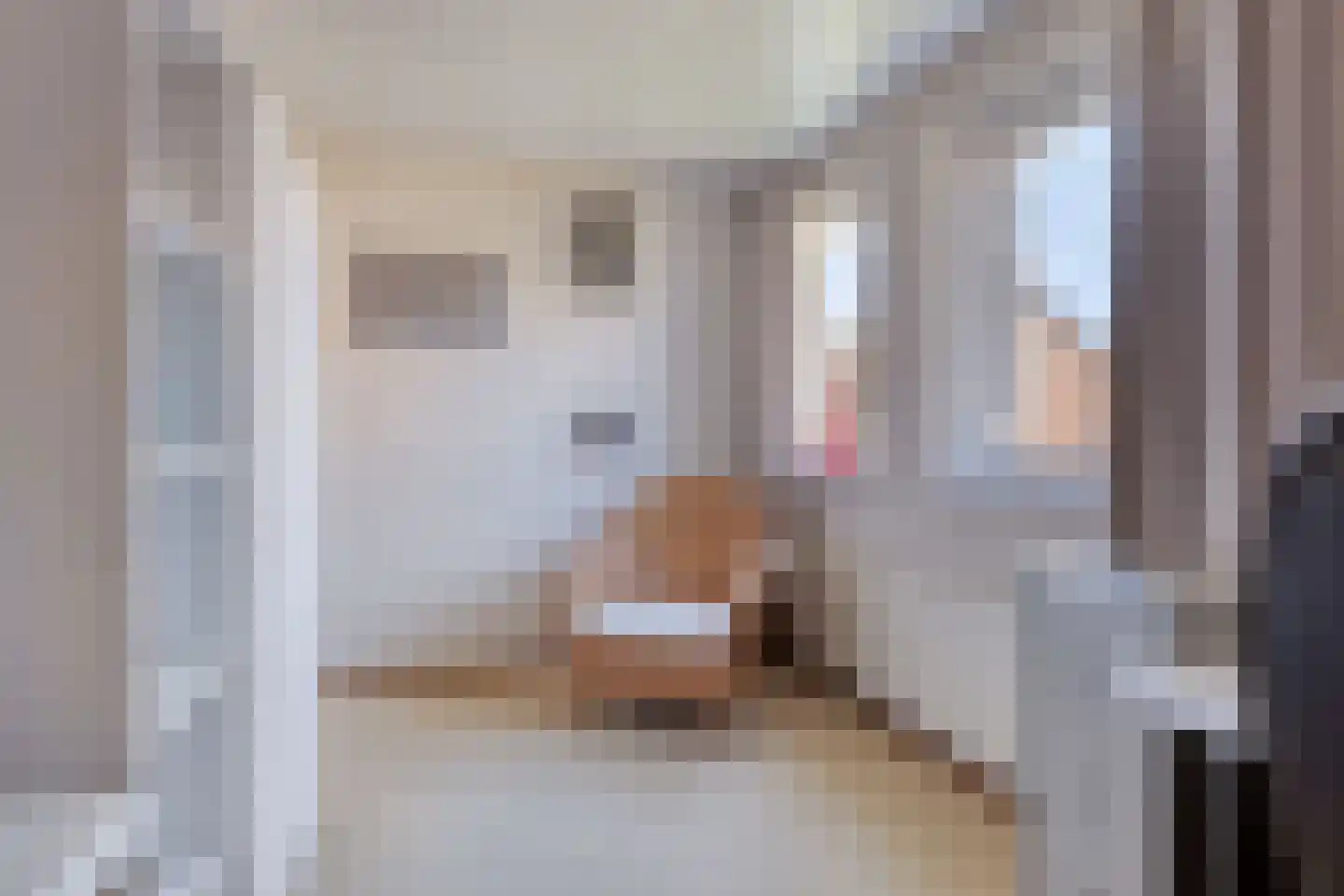 Bizethof 6 Raamsdonksveer thumbnail 37
