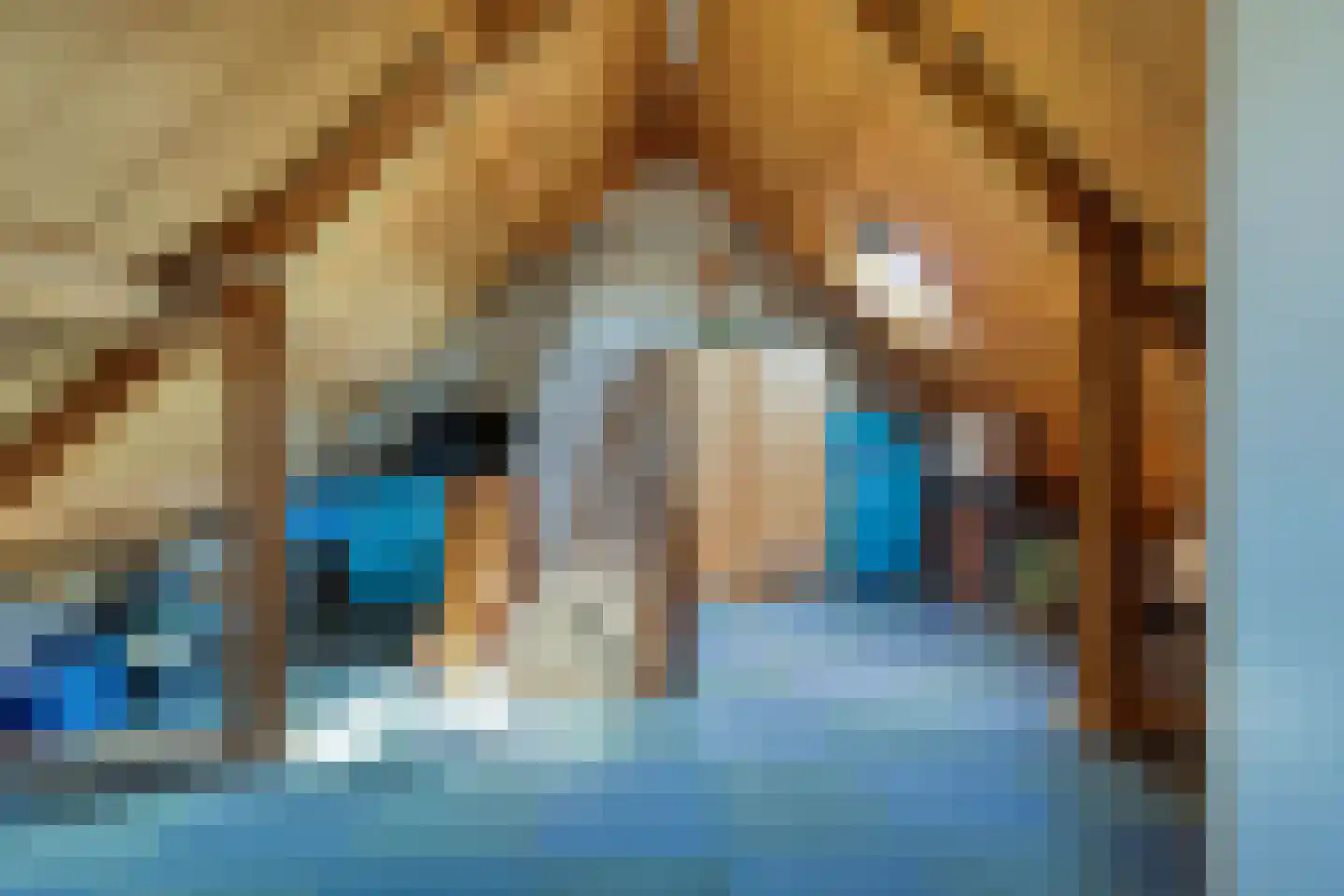 Bizethof 6 Raamsdonksveer thumbnail 39