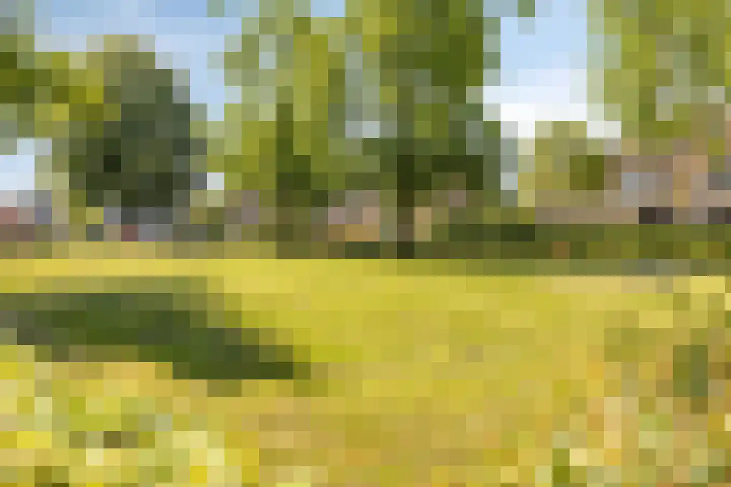 Bizethof 6 Raamsdonksveer thumbnail 41