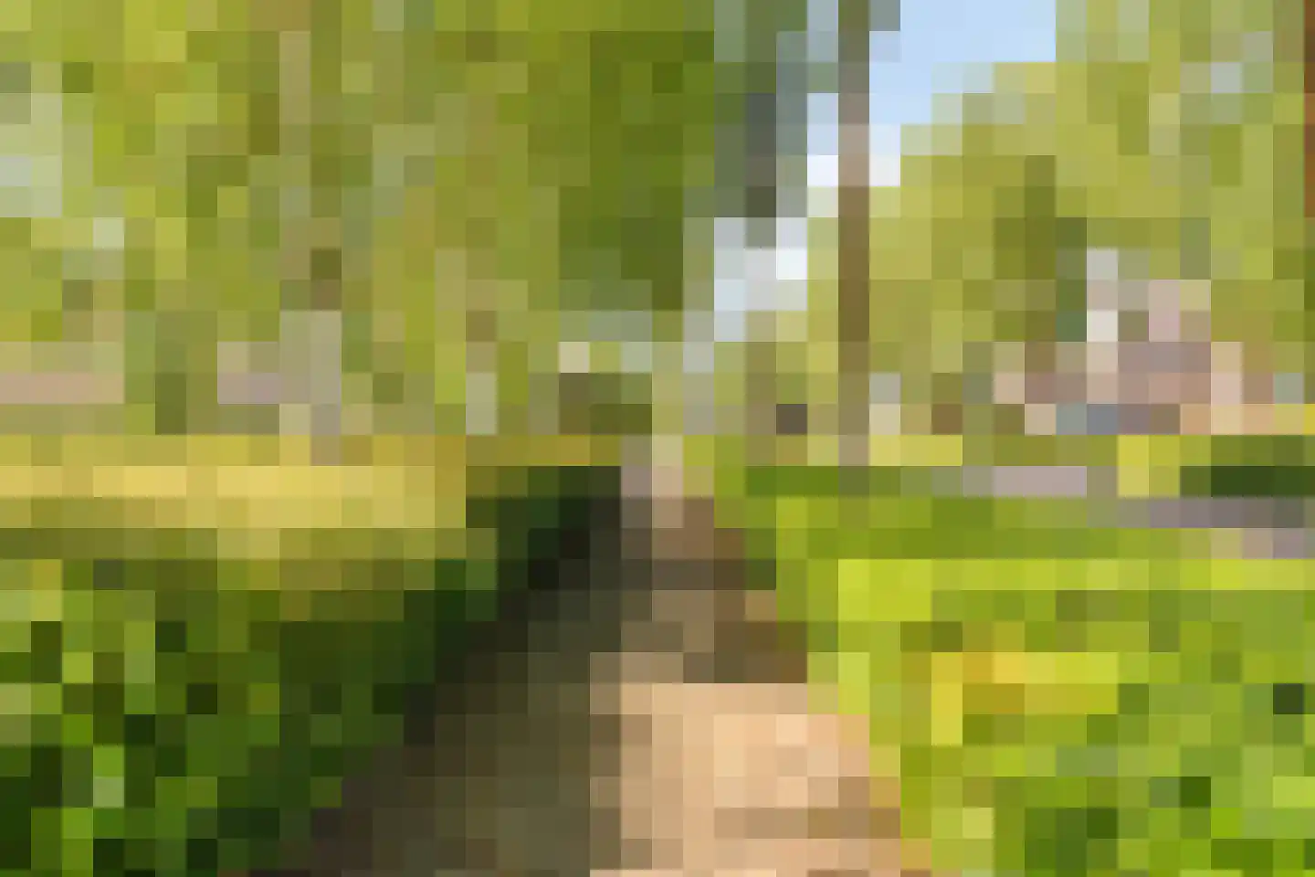 Bizethof 6 Raamsdonksveer thumbnail 42