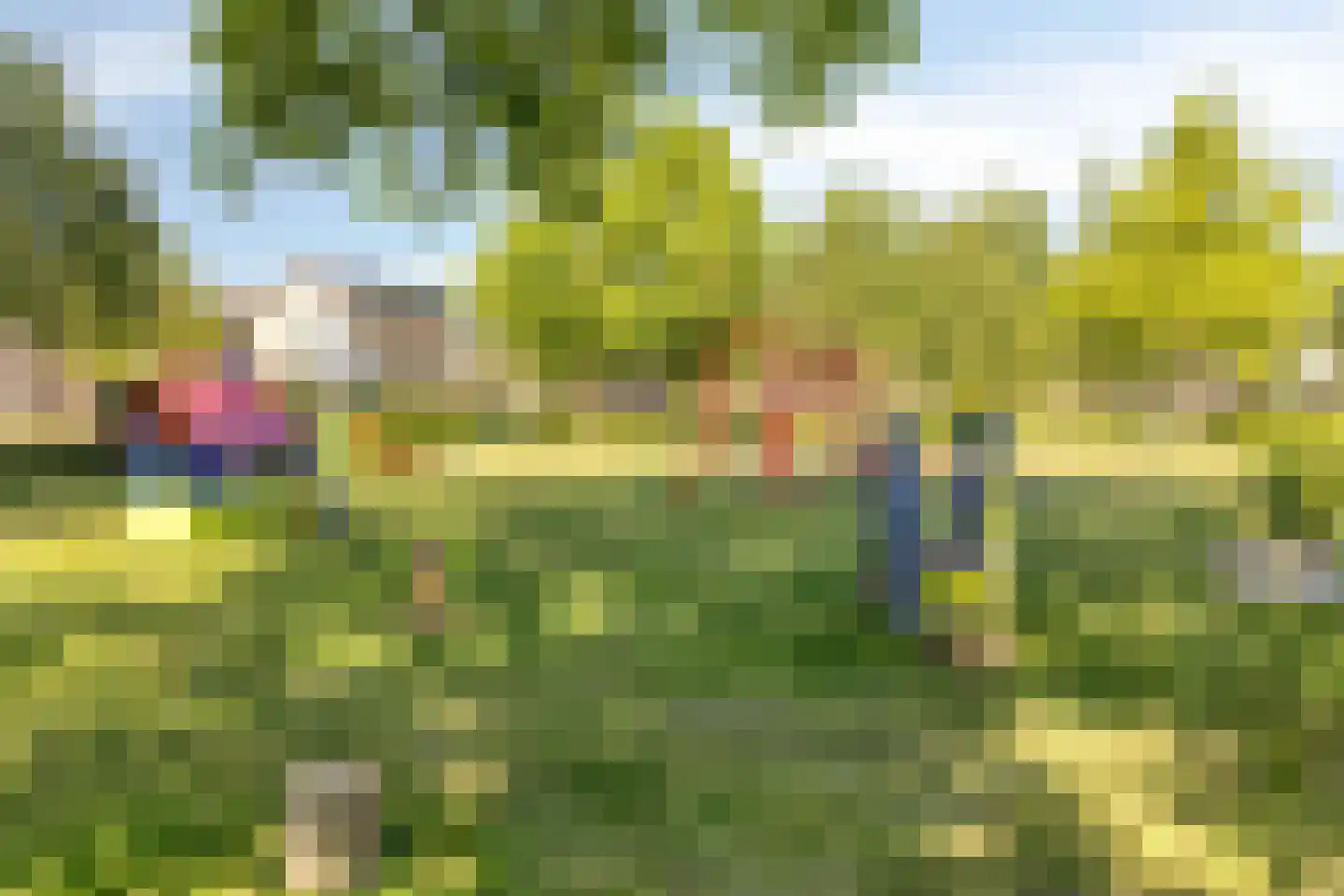 Bizethof 6 Raamsdonksveer thumbnail 43