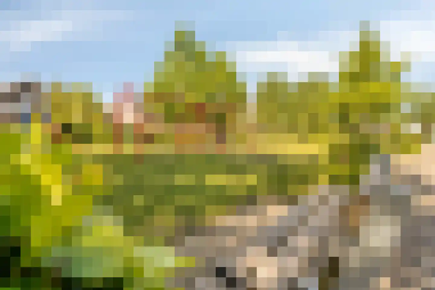Bizethof 6 Raamsdonksveer thumbnail 44