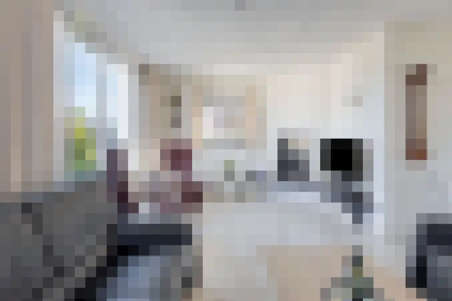 Bizethof 6 Raamsdonksveer thumbnail 8