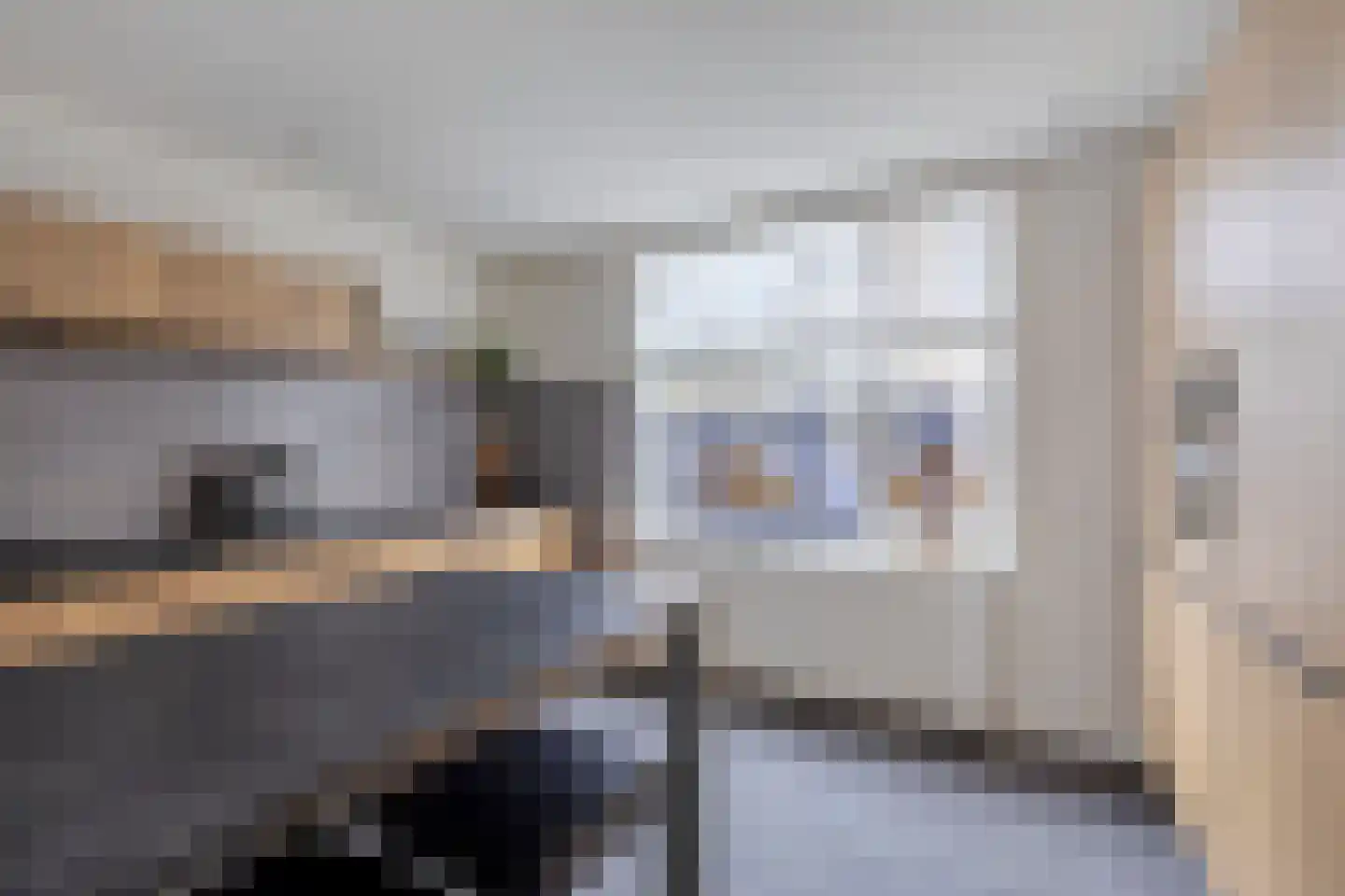 Bizetlaan 1 Vlijmen thumbnail 15