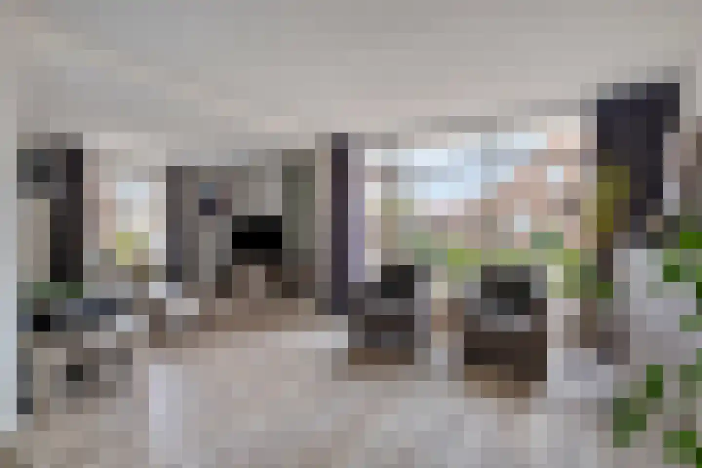 Bizetlaan 1 Vlijmen foto 2