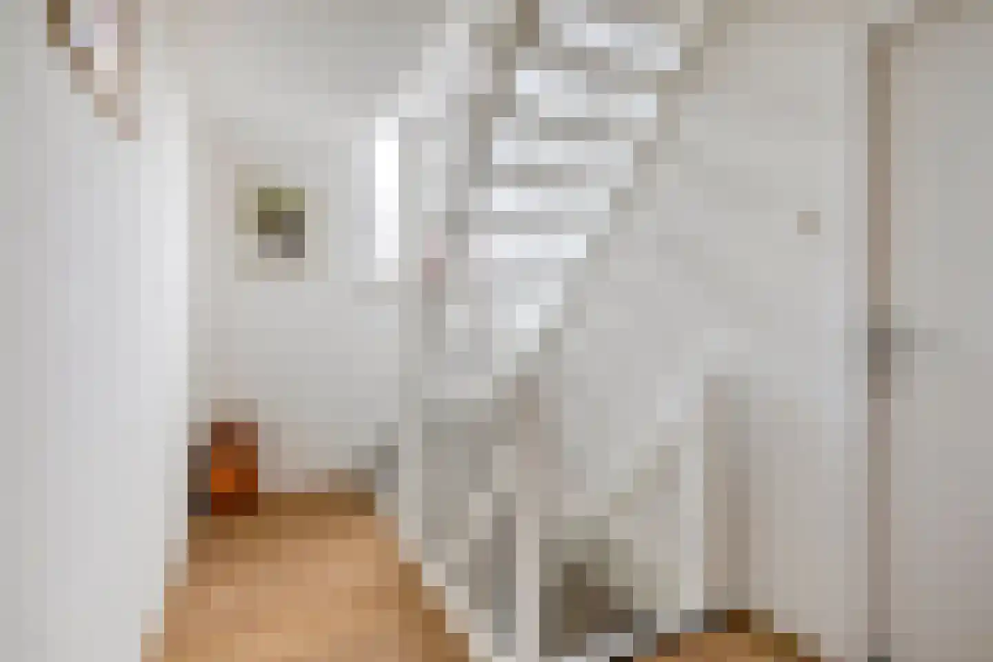 Bizetlaan 1 Vlijmen thumbnail 20