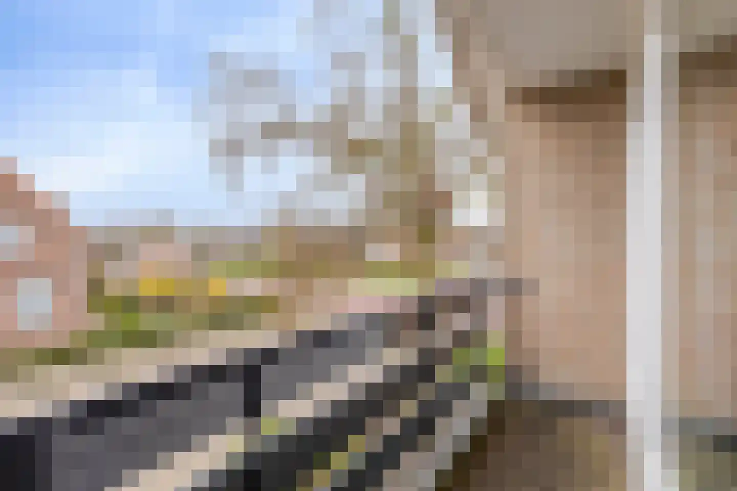 Bizetlaan 1 Vlijmen thumbnail 24