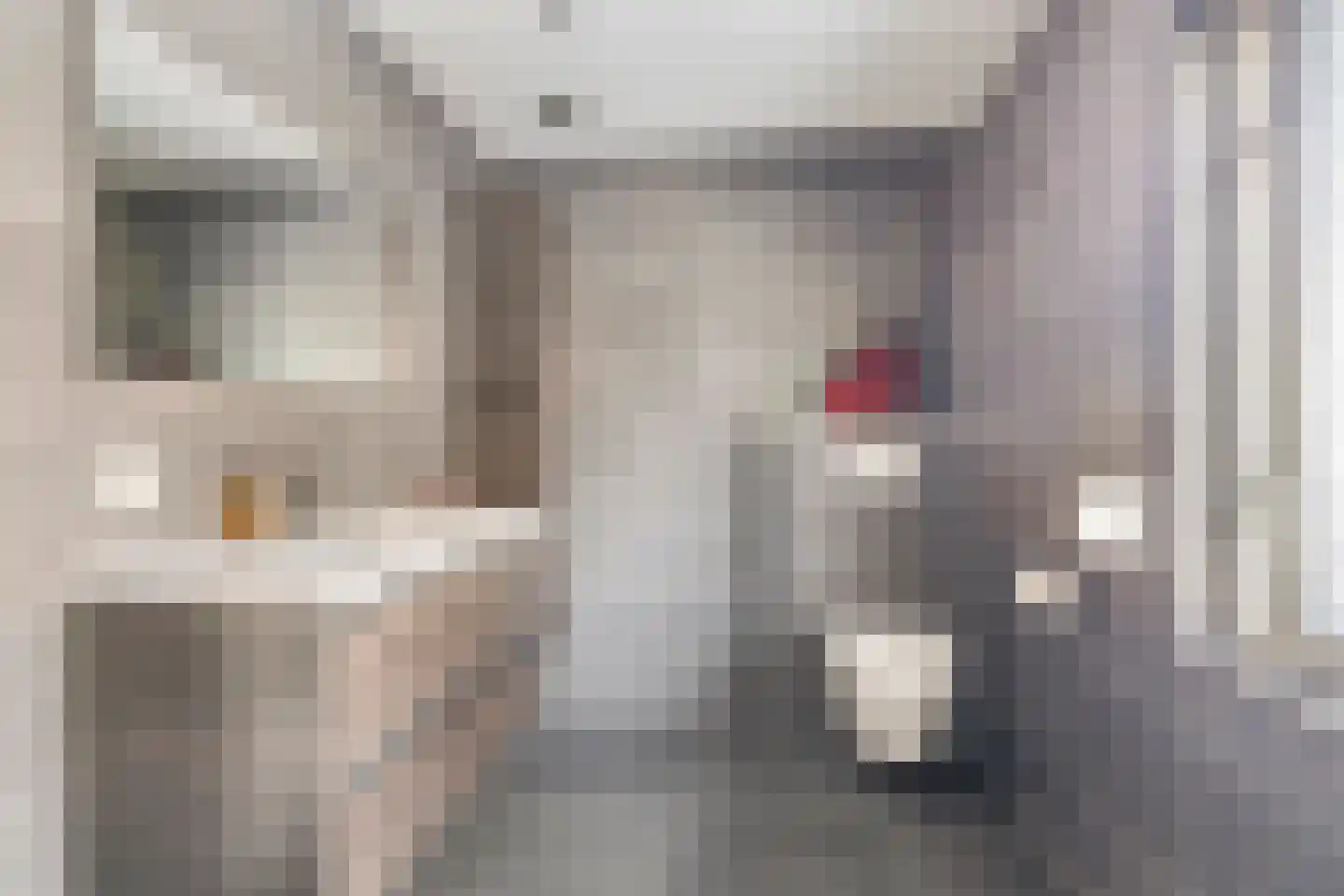 Bizetlaan 1 Vlijmen thumbnail 25