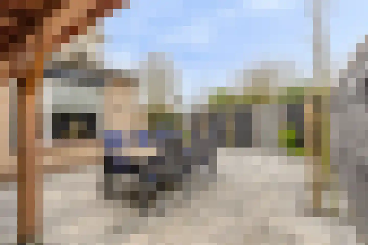 Bizetlaan 1 Vlijmen thumbnail 35