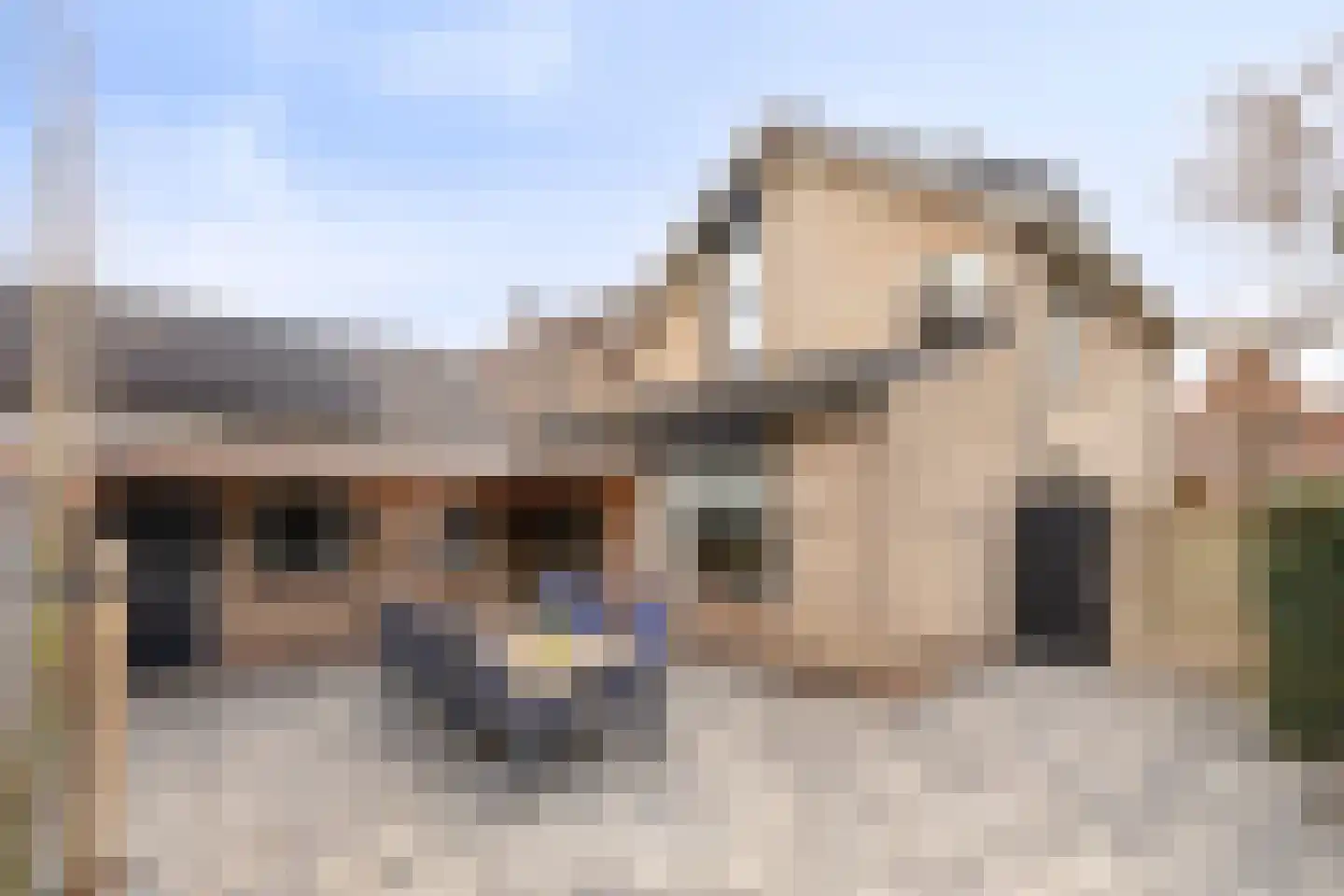Bizetlaan 1 Vlijmen thumbnail 37
