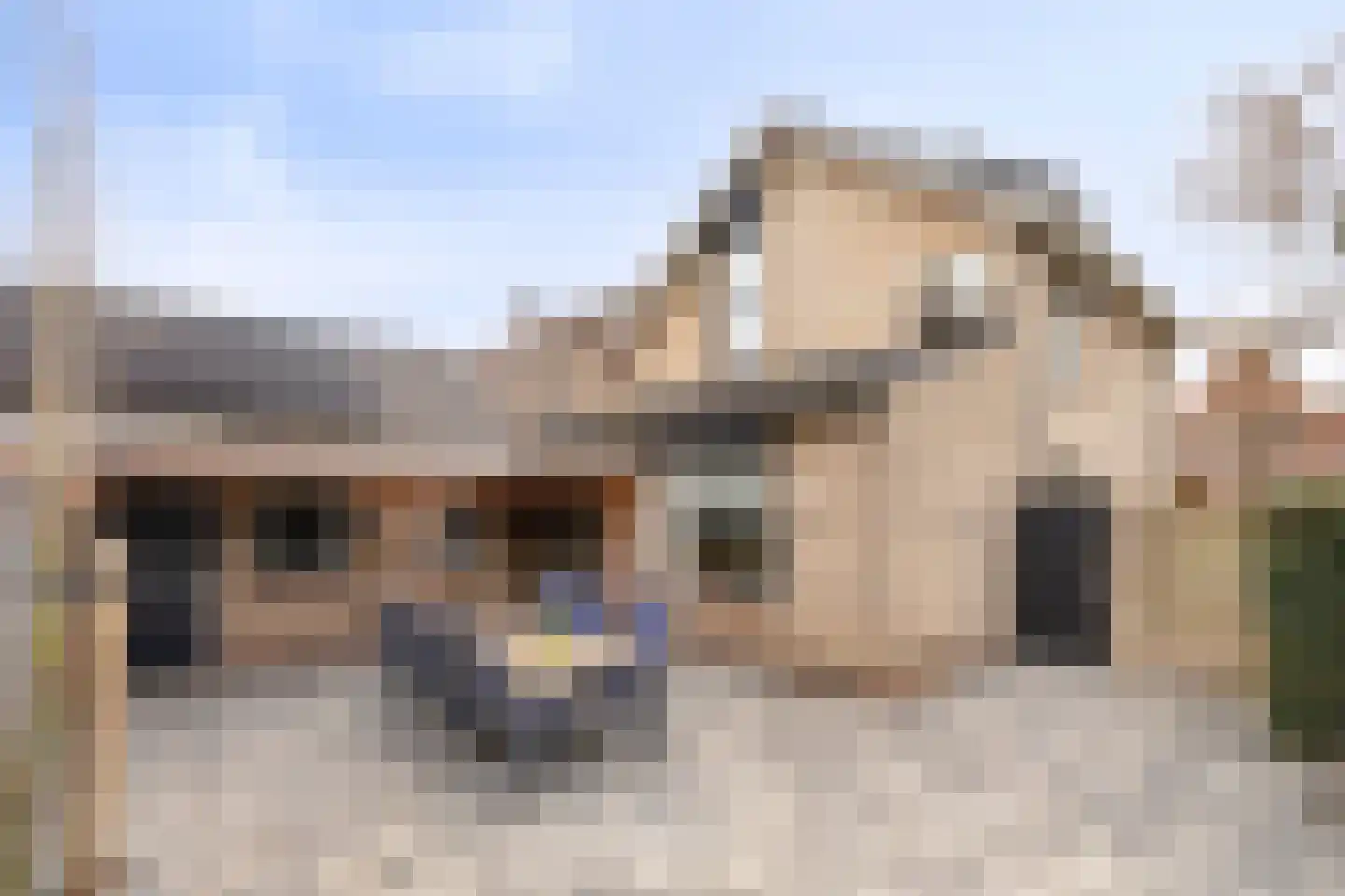 Bizetlaan 1 Vlijmen thumbnail 4
