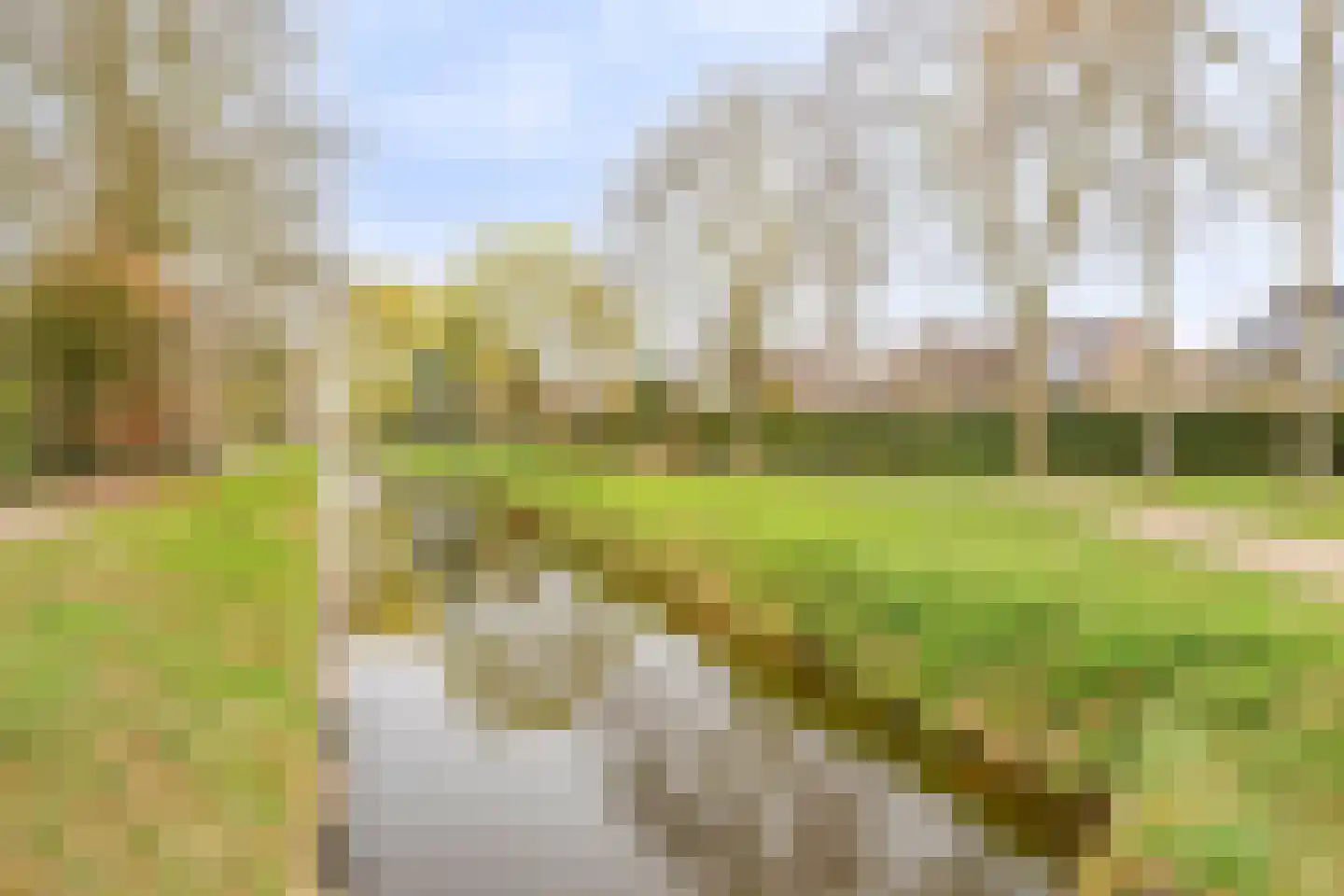 Bizetlaan 1 Vlijmen thumbnail 41