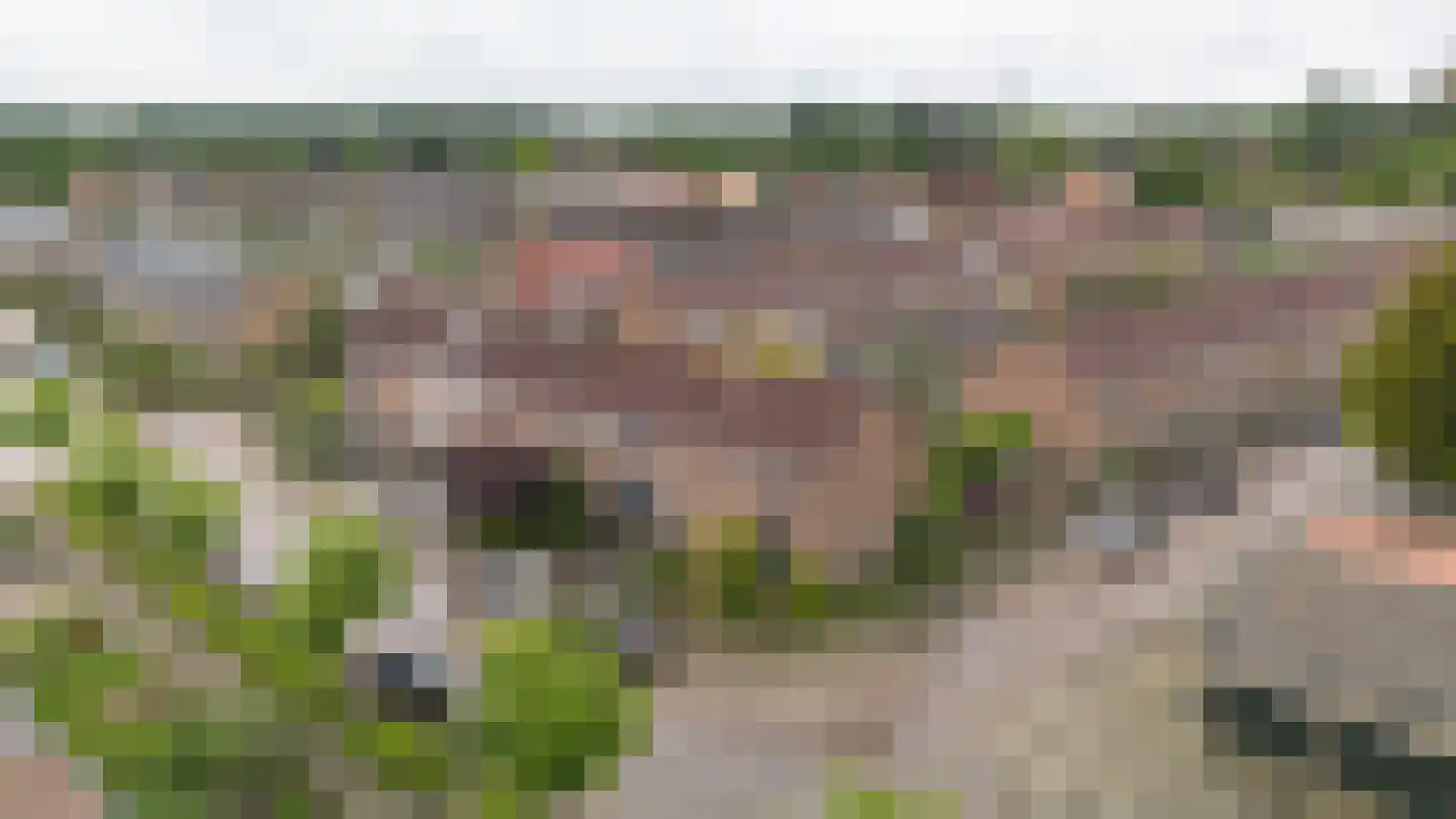 Bizetlaan 11 Apeldoorn thumbnail 27