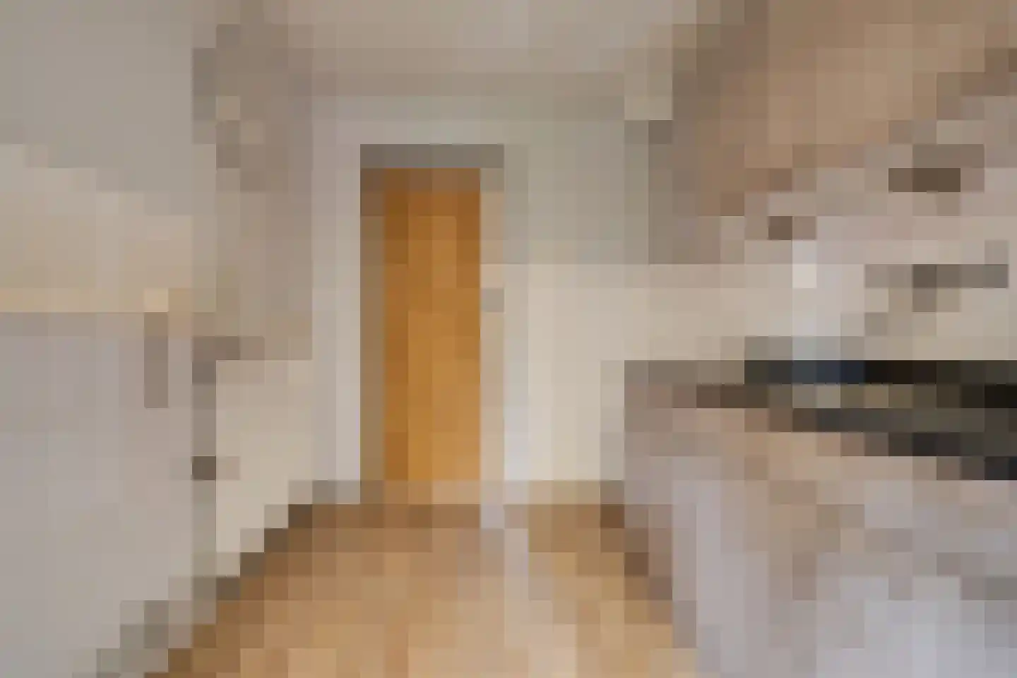 Bizetlaan 11 Apeldoorn thumbnail 7