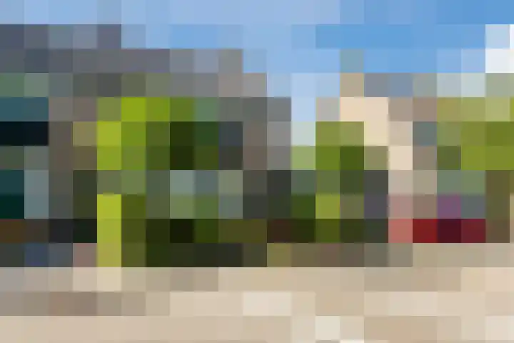 Bizetlaan 11 Nijkerk foto 2