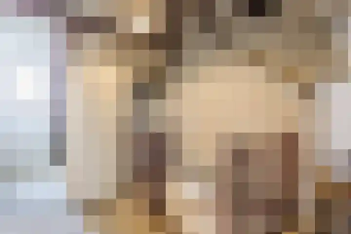 Bizetlaan 11 Nijkerk thumbnail 26