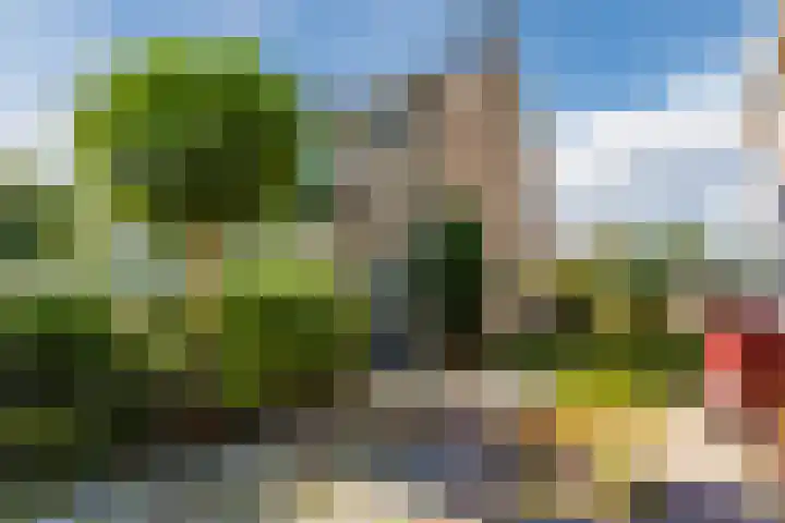 Bizetlaan 11 Nijkerk foto 3